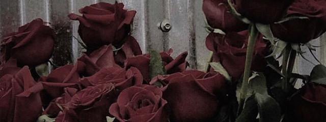 珠 那さんの壁紙画像