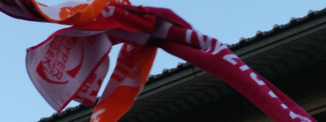 ℳ.♡さんの壁紙画像