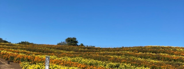 otonohaさんの壁紙画像