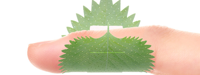 お米🌾さんの壁紙画像