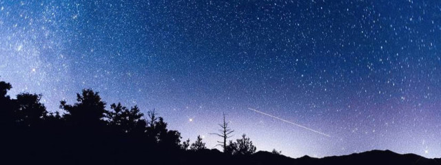 ﾈｺﾓﾁ🌙🌟さんの壁紙画像