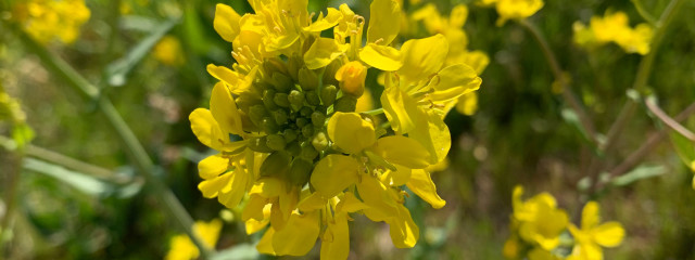 HEREさんの壁紙画像