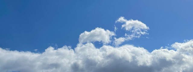 moreさんの壁紙画像