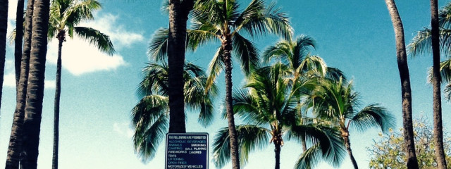 くらげねこฅ^•ω•^ฅさんの壁紙画像