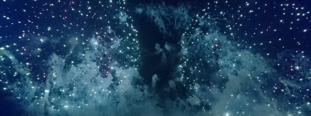 花咲くカニさんの壁紙画像