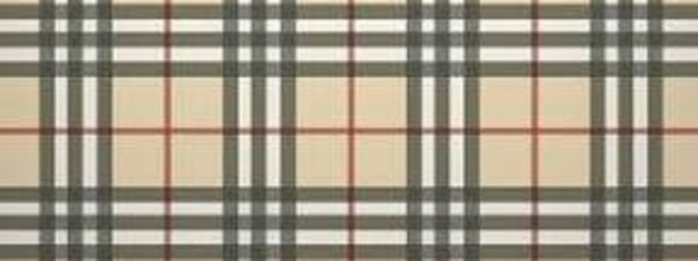 はくまいさんの壁紙画像