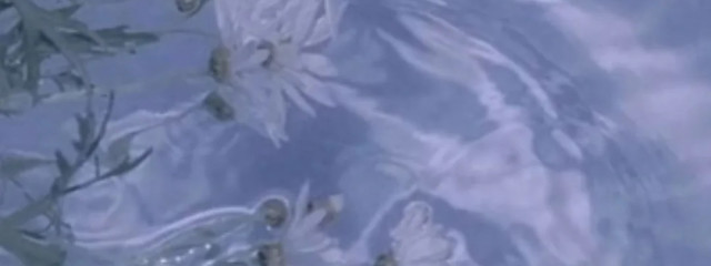 ひかちゃん@うつなうᐢ｡•༝•｡ᐢさんの壁紙画像