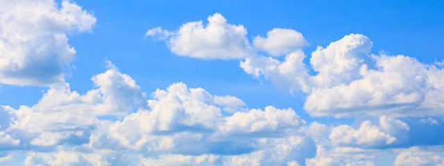 空(くぅ)♡🦁チェリーアニマルさんの壁紙画像