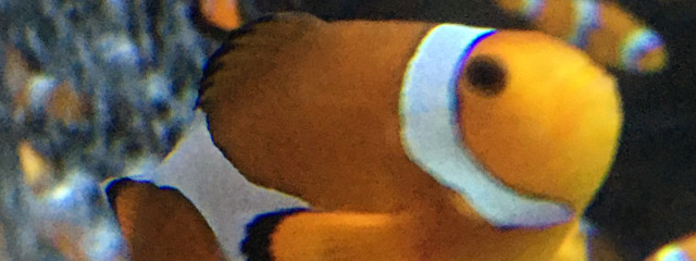 ( ´ ▽ ` )さんの壁紙画像