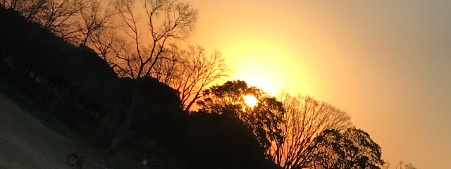 ちなさんの壁紙画像