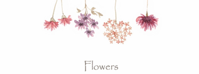 hanamizukiさんの壁紙画像