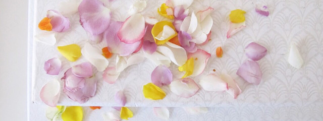 아야 さんの壁紙画像