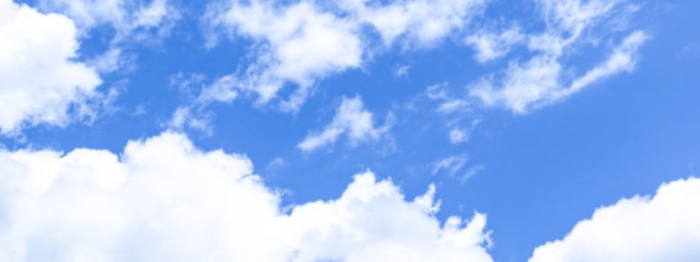 mochi!さんの壁紙画像