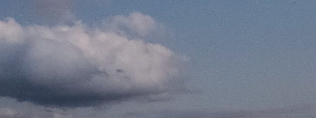 ^×~×^♡さんの壁紙画像