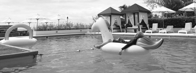 ひつじ。さんの壁紙画像