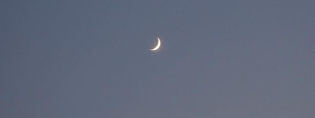 ちょる ☽さんの壁紙画像