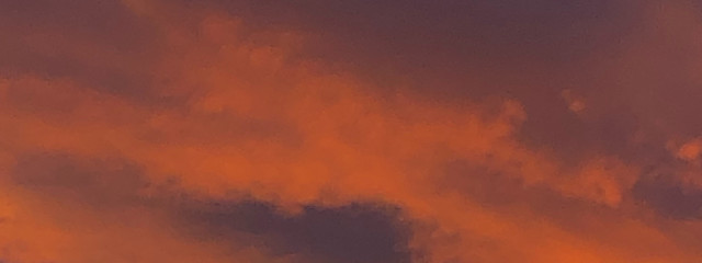 莎紅さんの壁紙画像