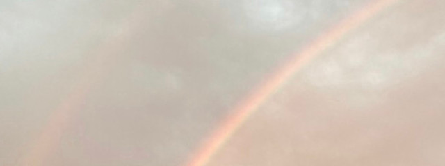 ねむさんの壁紙画像