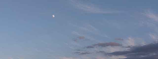 闇猫さんの壁紙画像