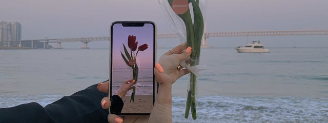 れーずんさんの壁紙画像