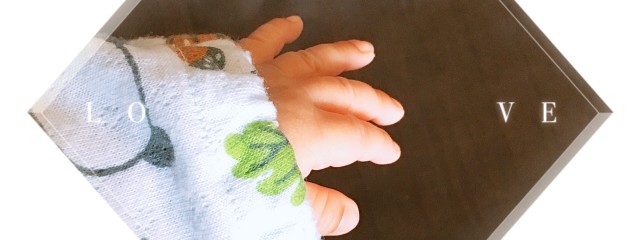 Shiryu.さんの壁紙画像