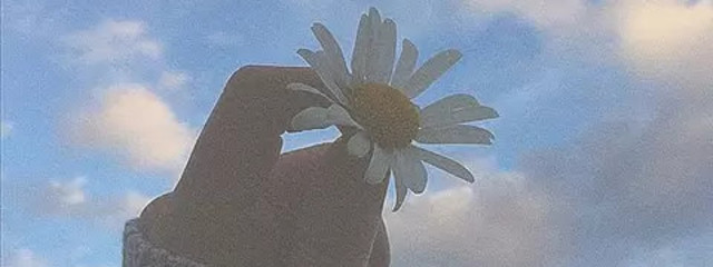 くるみもちさんの壁紙画像