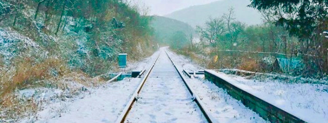 A.R.M.Y.💜さんの壁紙画像