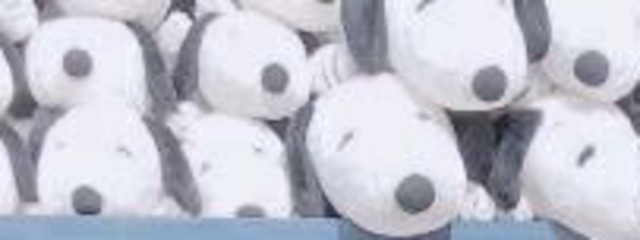 ひさんの壁紙画像