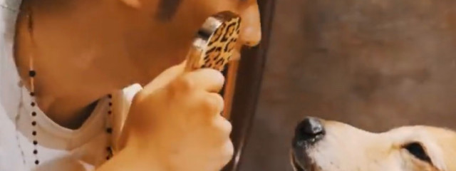 りんさんの壁紙画像