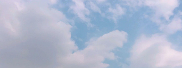 mia*さんの壁紙画像