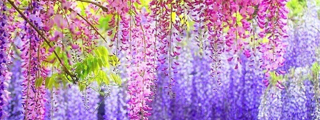 to-ka＠更新停止中さんの壁紙画像