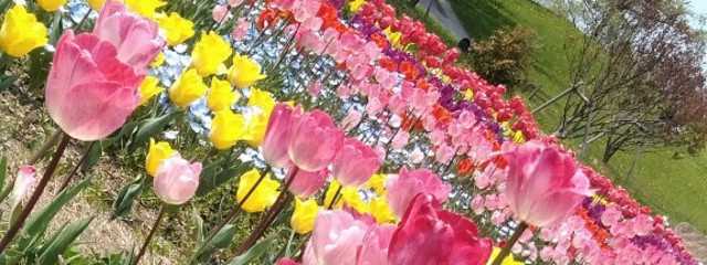 廉さんの壁紙画像