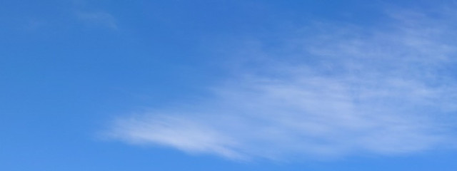 miyaさんの壁紙画像