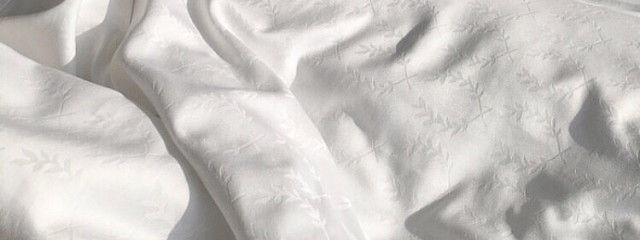 てひたゃン       ⌒⌒さんの壁紙画像