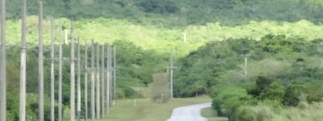 かゑで🍁さんの壁紙画像