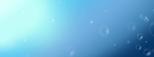 いかちゃんさんの壁紙画像