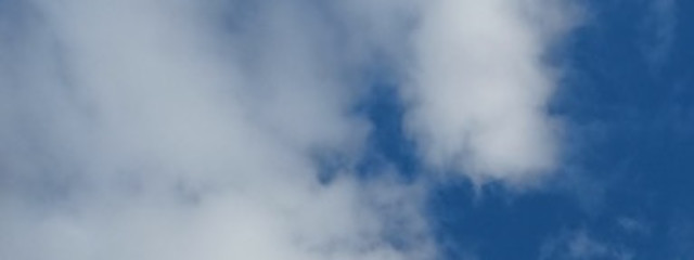 桜餅さんの壁紙画像