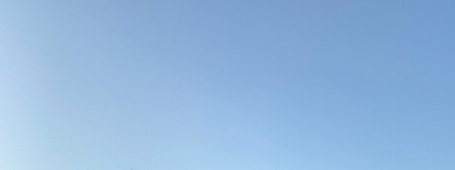 はなさんの壁紙画像