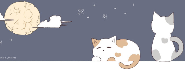 成瀬✨🍜さんの壁紙画像