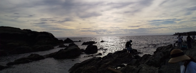 甘藍🍆🐿️さんの壁紙画像