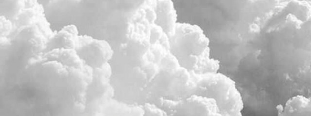 う さ ぎさんの壁紙画像