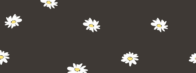 しず.🕊さんの壁紙画像