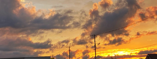 蘭さんの壁紙画像