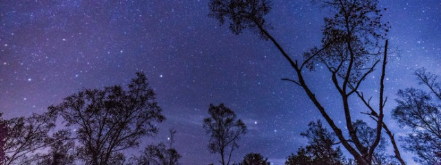 花摘   静空𖤐☽･:*@注射嫌いですさんの壁紙画像