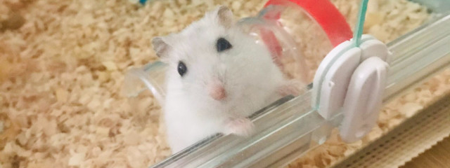 悠斗さんの壁紙画像