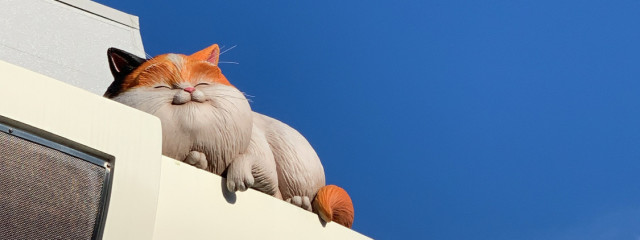 スナ🦊さんの壁紙画像