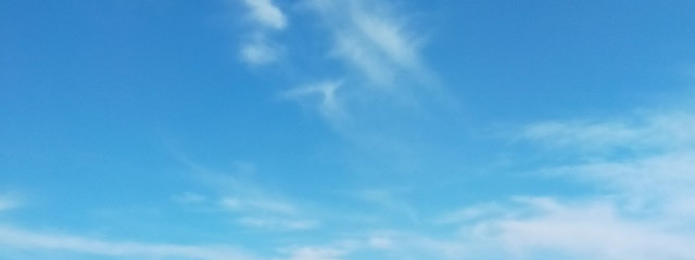 早乙女恵さんの壁紙画像