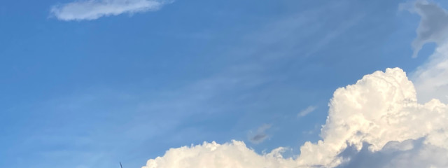 抹茶🍵🍯さんの壁紙画像