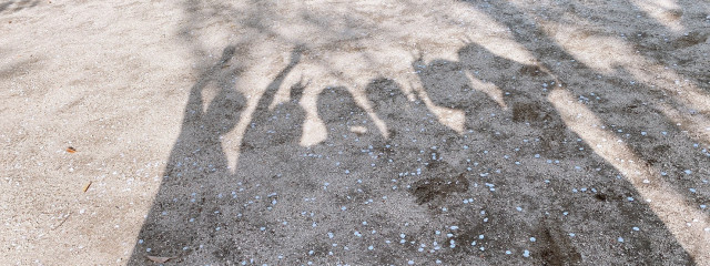 ritakiuさんの壁紙画像