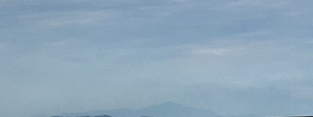 蝶華🦋さんの壁紙画像